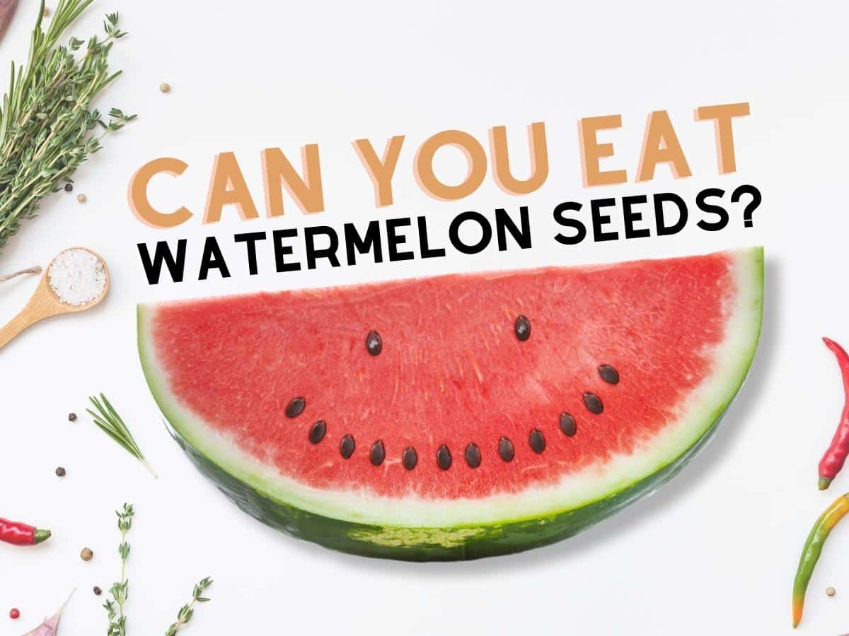 Can You Eat Watermelon Seeds A Friendly Guide For Hungry Niche Site Seos